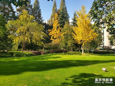 現(xiàn)在的冬天，就是天氣冷了點，要不然我以為是春天么