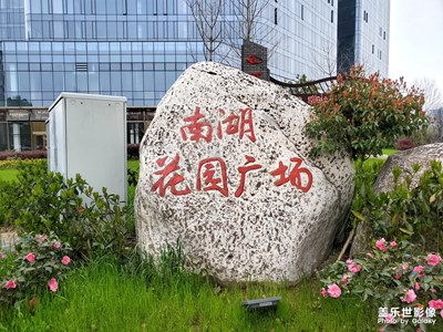 【享拍一刻】+有時隨手的一拍，可以欣賞很久