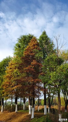 【享拍一刻】享拍四季