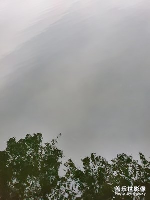 水平如水