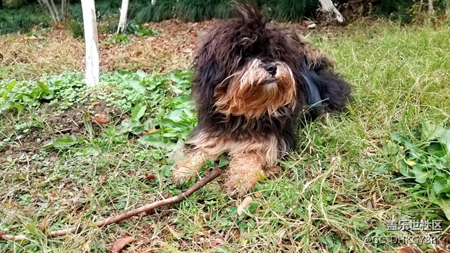 表面的素食主義者---七月