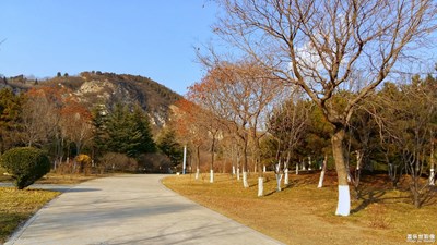 已開獎【蓋樂世影像周賽第118期】——初冬印象