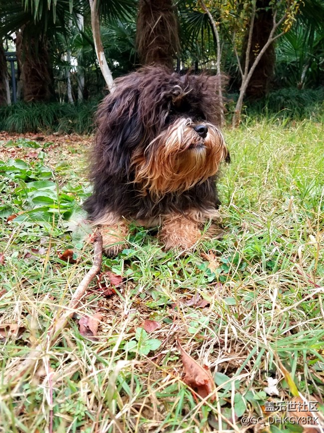 表面的素食主義者---七月