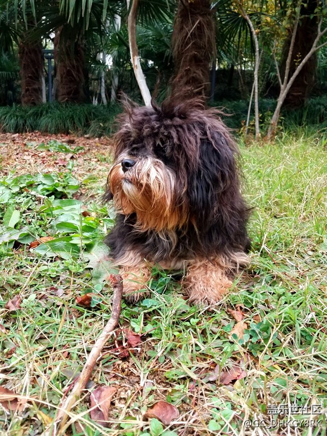 表面的素食主義者---七月