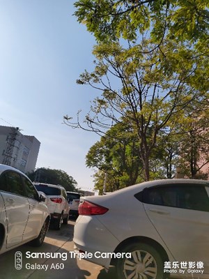冬天隨拍