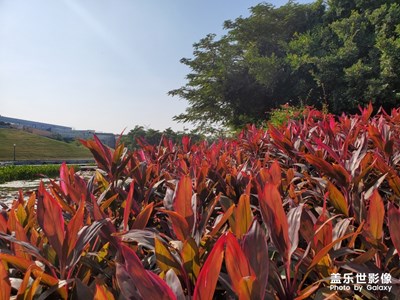 不一樣冬