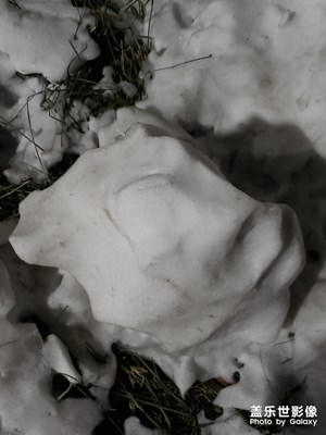 雪