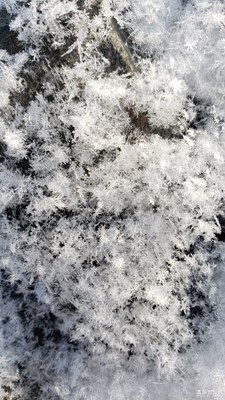 【初冬印象】+雪花的故事