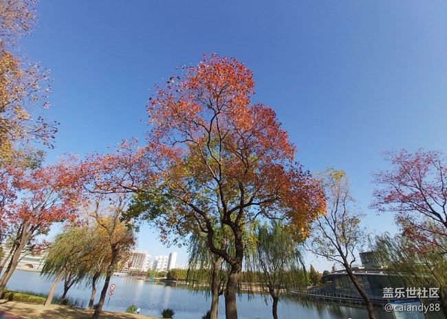 真的很香-Galaxy A70S簡評