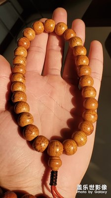 用我的手機拍下我的串串們