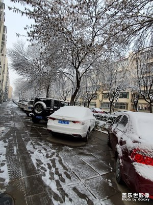 瑞雪兆豐年