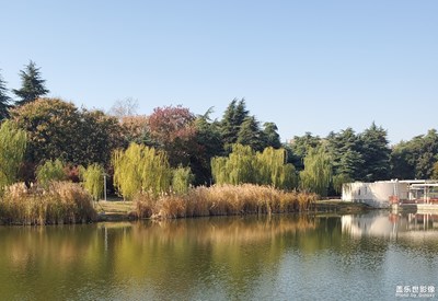 【初冬印象】+冬日暖陽(yáng)