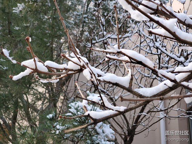 如何在“朋友圈曬初雪大賽”中脫穎而出？