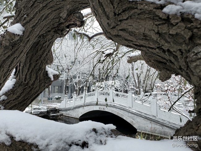 如何在“朋友圈曬初雪大賽”中脫穎而出？