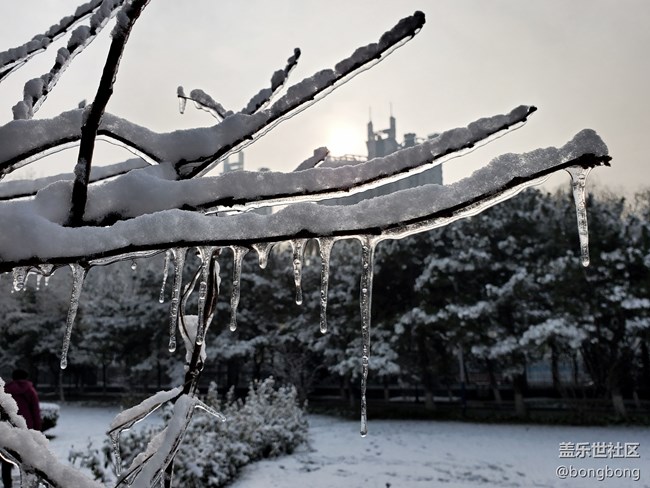 如何在“朋友圈曬初雪大賽”中脫穎而出？
