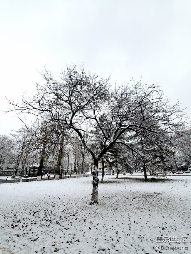 如何在“朋友圈曬初雪大賽”中脫穎而出？