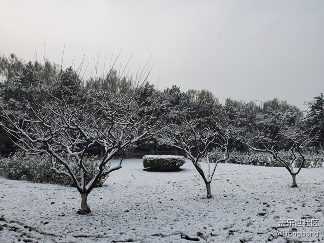 如何在“朋友圈曬初雪大賽”中脫穎而出？
