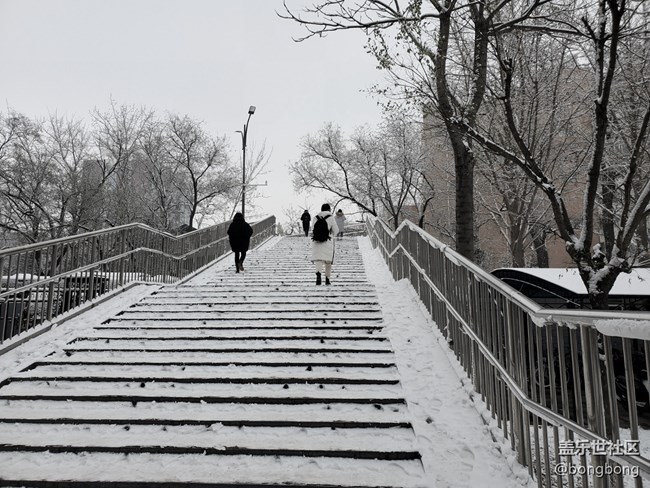 如何在“朋友圈曬初雪大賽”中脫穎而出？