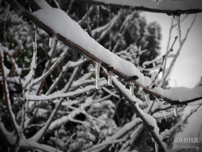 如何在“朋友圈曬初雪大賽”中脫穎而出？