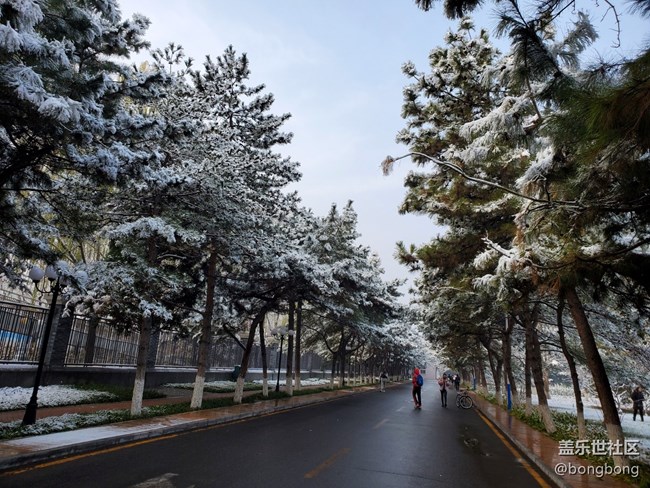 如何在“朋友圈曬初雪大賽”中脫穎而出？