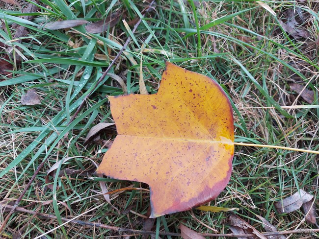 A70S-顏值、性能、性價比在線的三星拳頭機(jī)