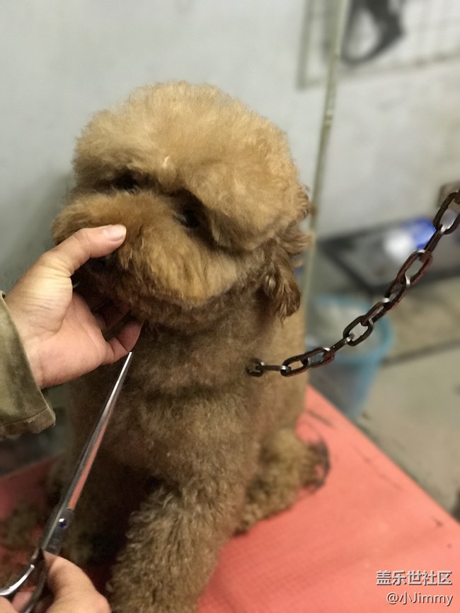 KIKI的故事（一）