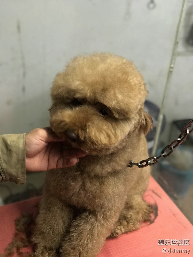 KIKI的故事（一）