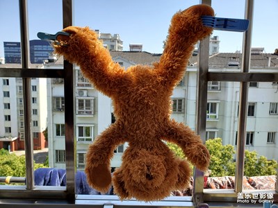 【初冬印象】+天冷，小日子照常要過