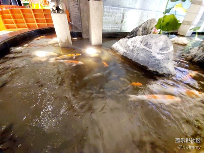 魚兒水中游