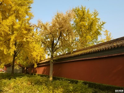 已開獎【蓋樂世影像周賽第119期】——色彩