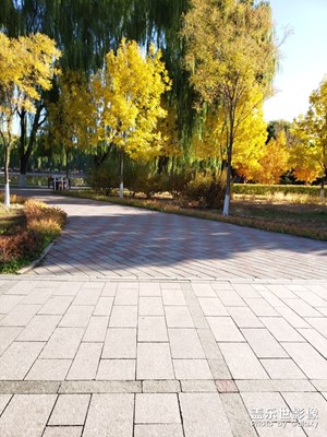 秋末之校園！