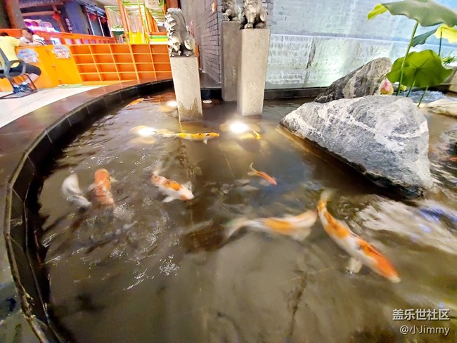 魚兒水中游