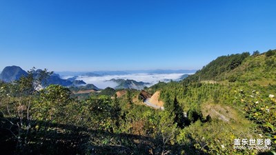 隨手拍拍