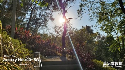 暖冬的公園