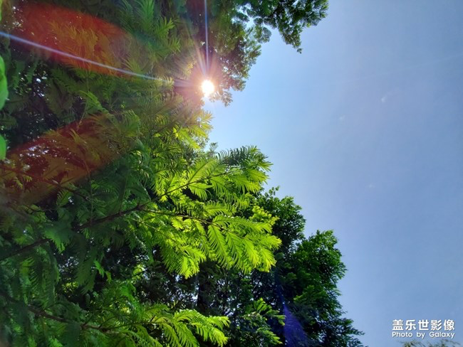 【每周星鮮事】第15期:宵夜然 食之動人心弦