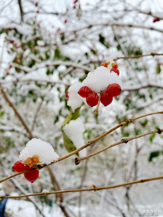 【每周星鮮事】第15期:宵夜然 食之動人心弦