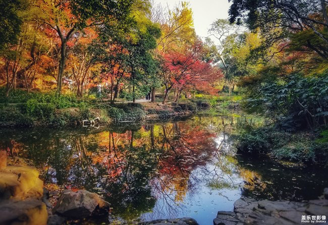 【每周星鮮事】第15期:宵夜然 食之動人心弦