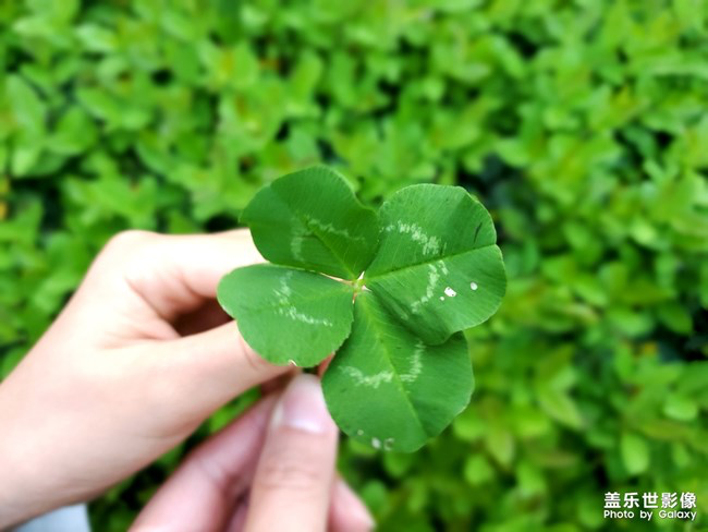 【每周星鮮事】第15期:宵夜然 食之動人心弦