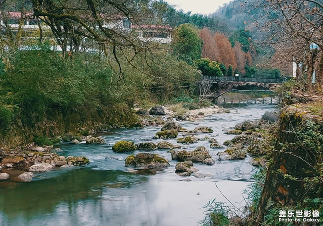 【每周星鮮事】第15期:宵夜然 食之動人心弦