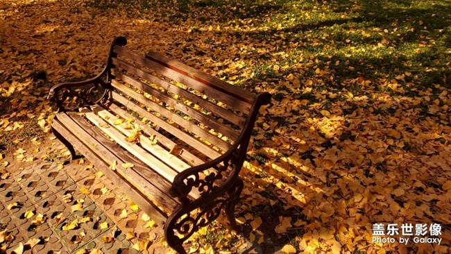 【每周星鮮事】第15期:宵夜然 食之動人心弦