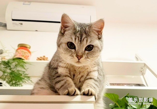 【每周星鮮事】第15期:宵夜然 食之動人心弦