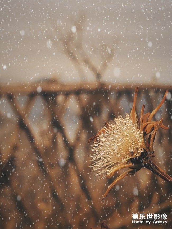 【每周星鮮事】第15期:宵夜然 食之動人心弦