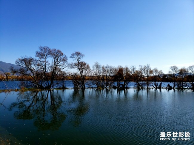 【每周星鮮事】第15期:宵夜然 食之動人心弦