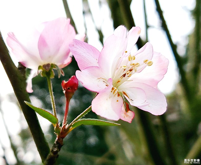 【每周星鮮事】第15期:宵夜然 食之動人心弦