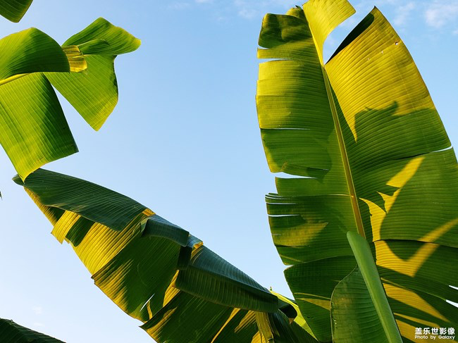 【每周星鮮事】第15期:宵夜然 食之動人心弦