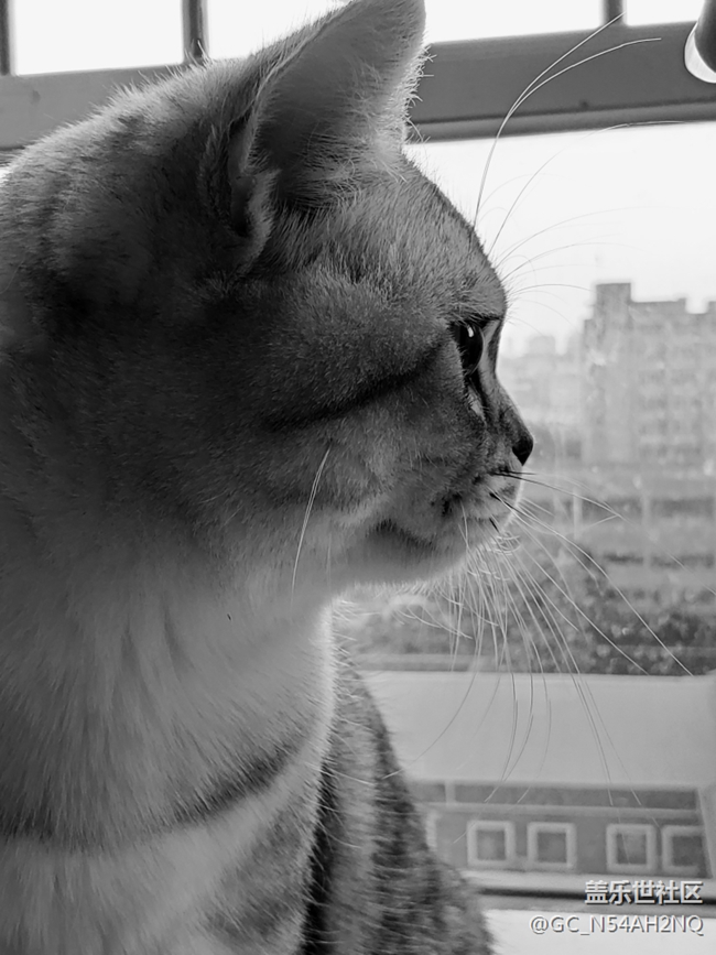 【每周星鮮事】第15期:宵夜然 食之動人心弦