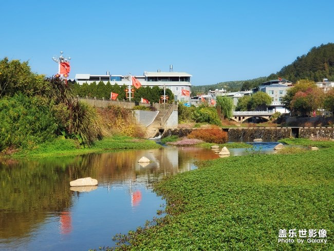 【每周星鮮事】第15期:宵夜然 食之動人心弦