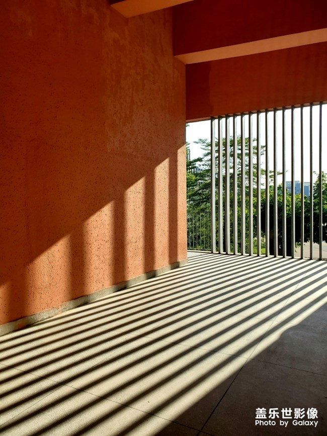 【每周星鮮事】第15期:宵夜然 食之動人心弦