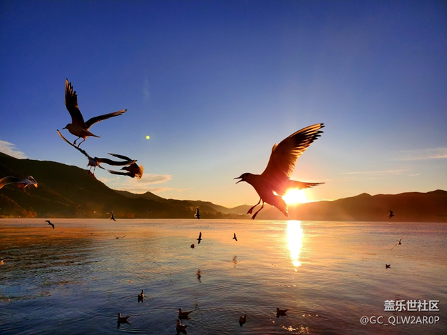 【每周星鮮事】第15期:宵夜然 食之動人心弦