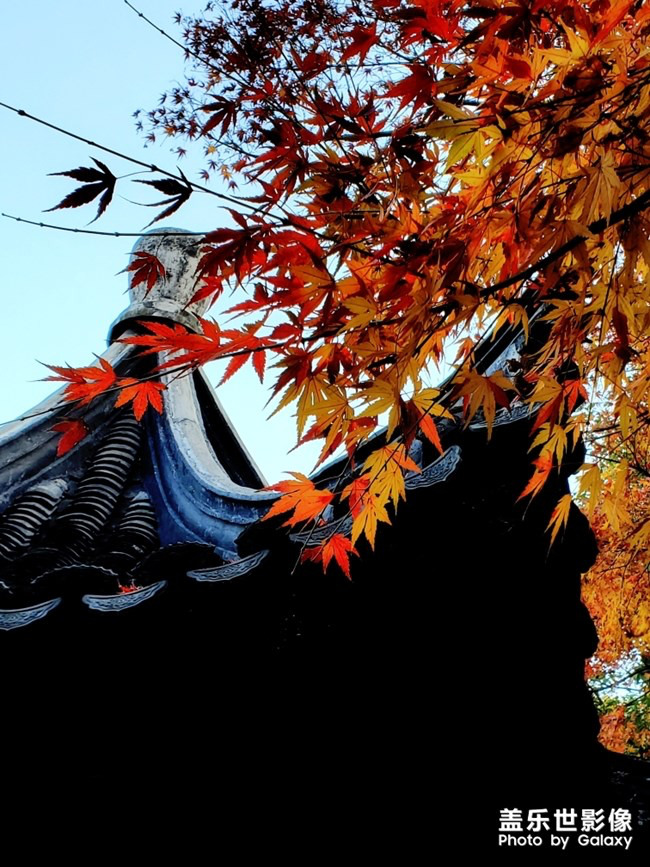 【每周星鮮事】第15期:宵夜然 食之動人心弦